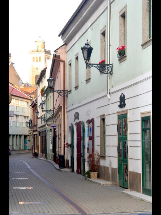 Ezüst Boróka Apartman Eger Exterior foto